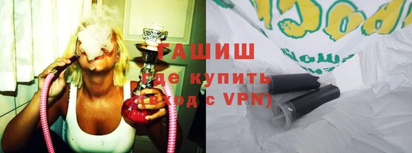 шишки Надым