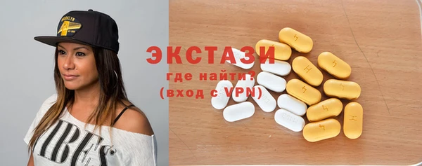 шишки Надым