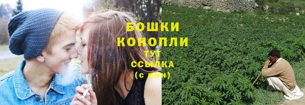 шишки Надым