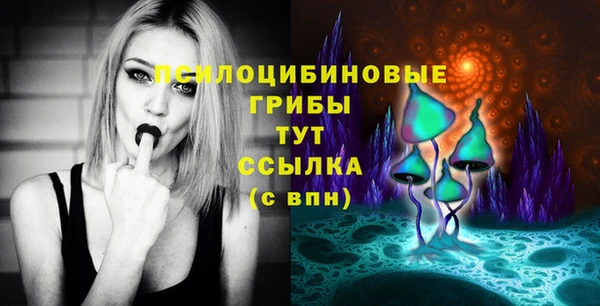 шишки Надым