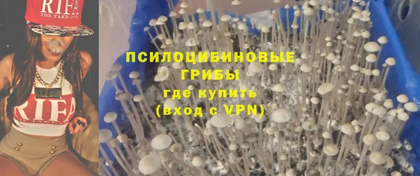 шишки Надым