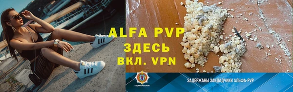 шишки Надым