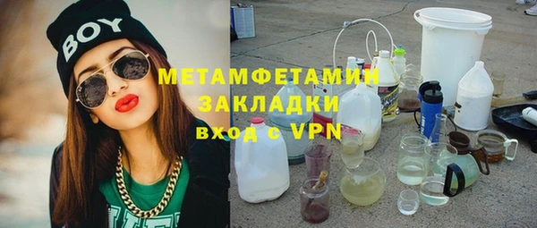шишки Надым