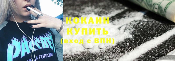 шишки Надым
