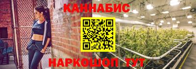 стафф Дубна