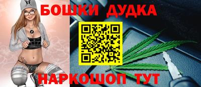 стафф Дубна
