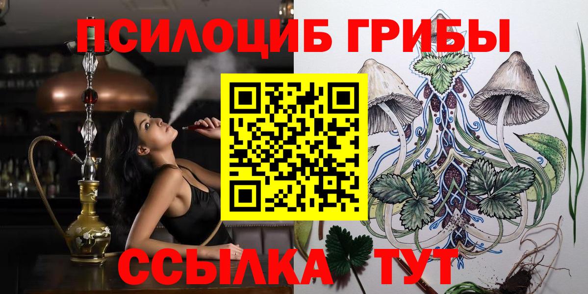 Галлюциногенные грибы MAGIC MUSHROOMS  где найти   Ковров 