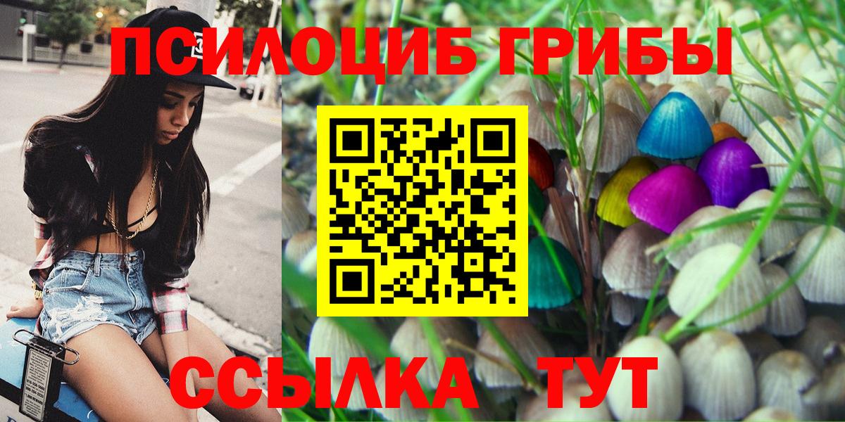 Псилоцибиновые грибы мухоморы Ковров