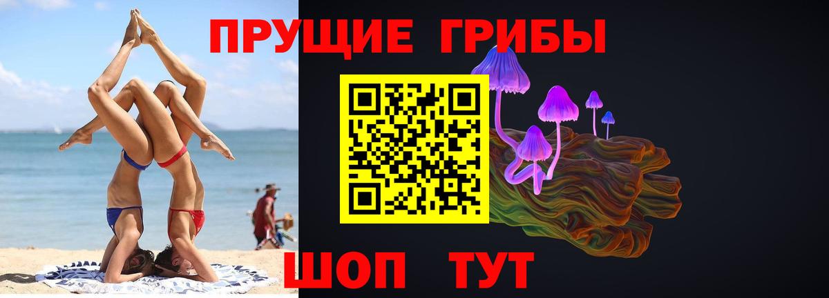 Ковров  Галлюциногенные грибы мицелий  Псилоцибиновые грибы прущие грибы  Вход с VPN 